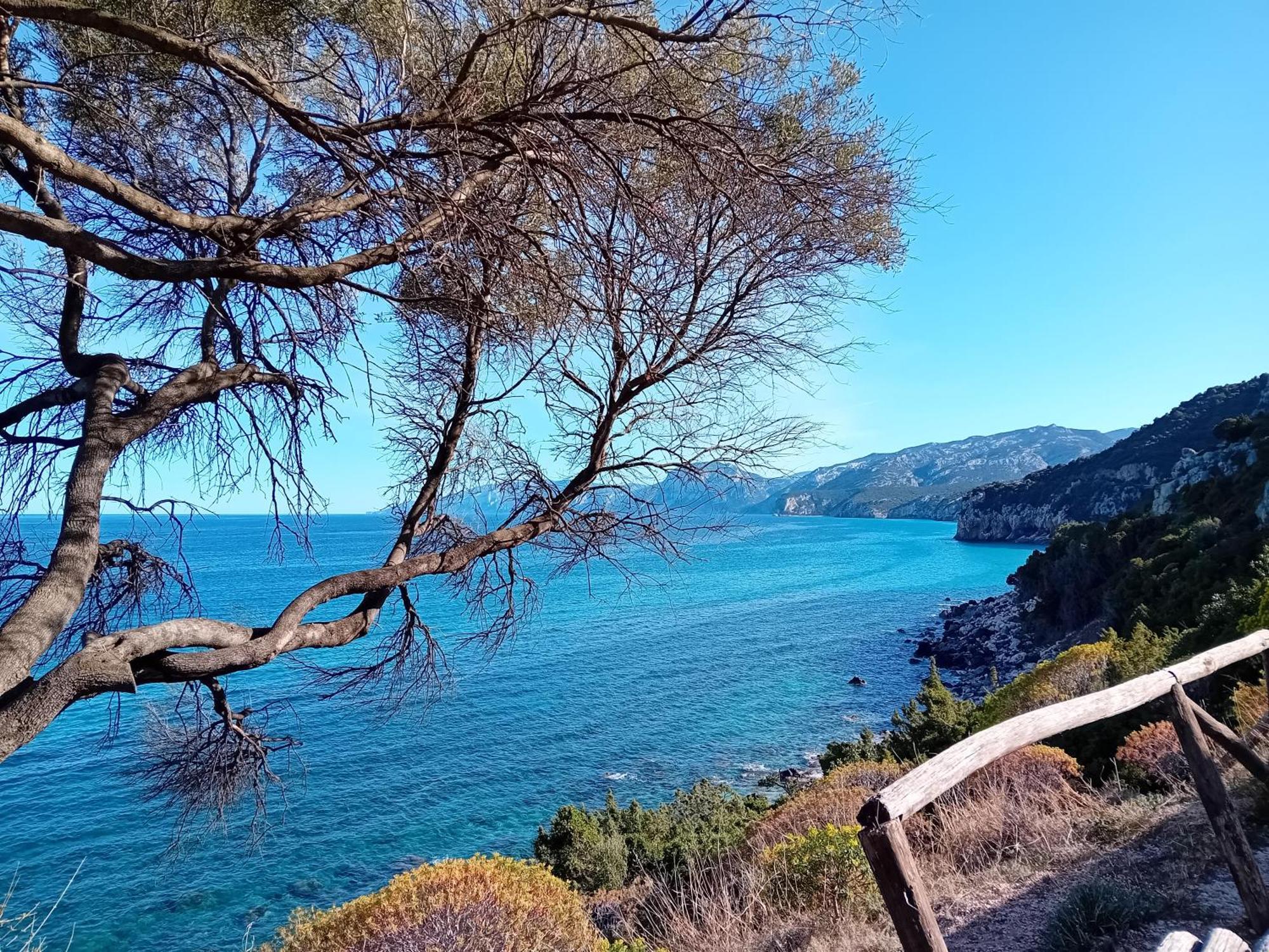 B&B Su Acu Dorgali Εξωτερικό φωτογραφία