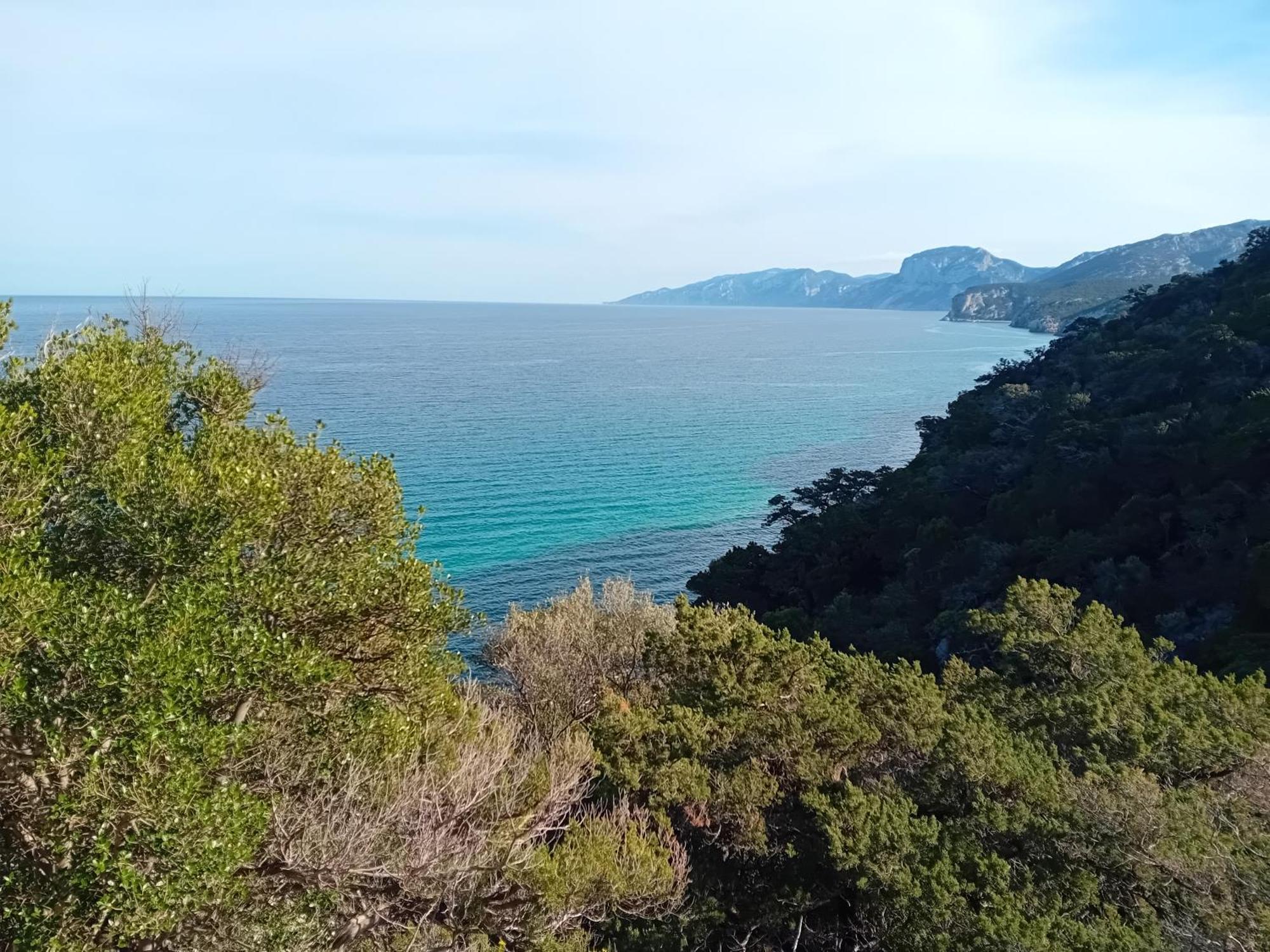 B&B Su Acu Dorgali Εξωτερικό φωτογραφία
